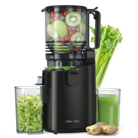 Cold Press Juicer With 6 In. Wide Feed Chute, Slow Masticating Juicer (Option: BLACK)